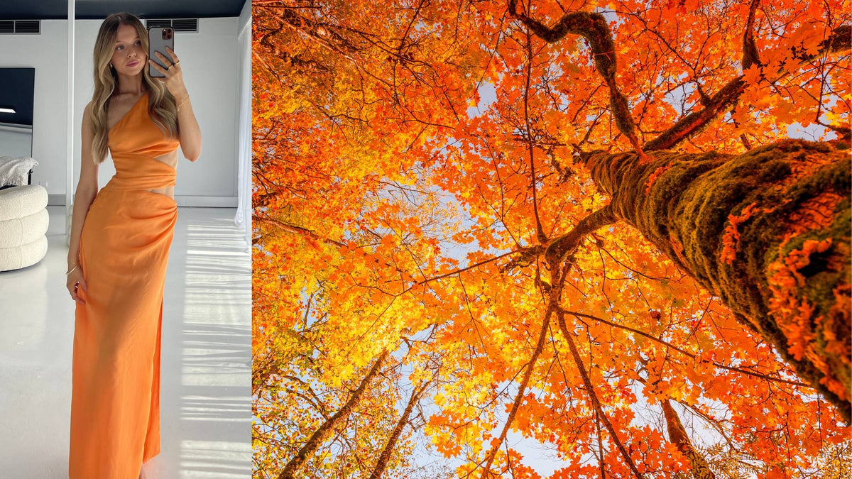 What Colour to Wear to an Autumn Wedding Dress for a Night What Colour to Wear to an Autumn Wedding Dress for a Night