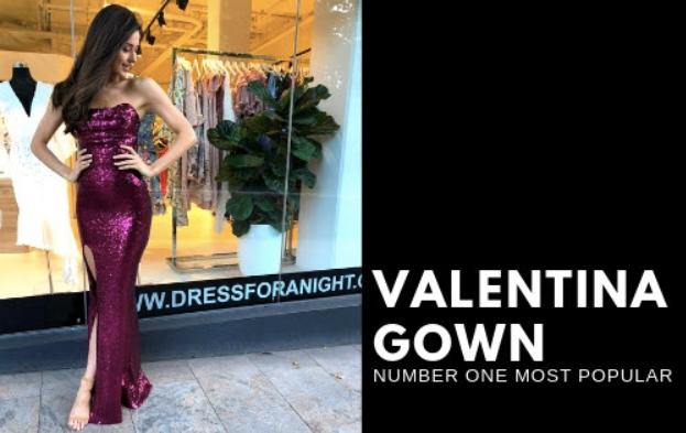 Best Selling - Nookie Valentina Gown