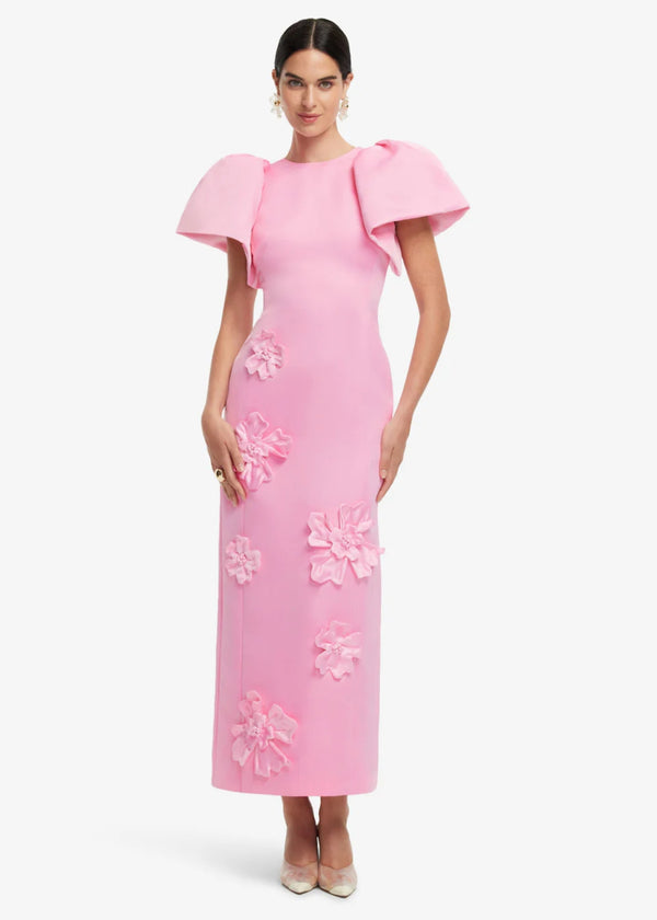 Lucinda Floral Applique Maxi Dress in Pink