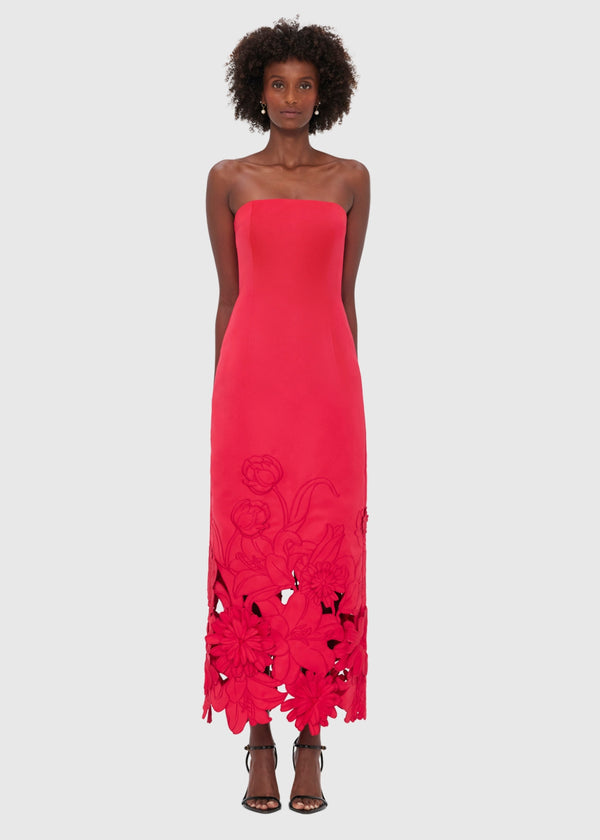 Rayna Applique Bustier Maxi Dress in Rosa