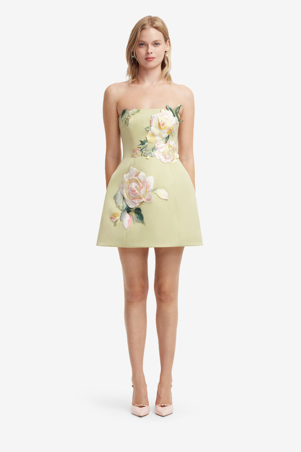Roselle Mini in Pistachio Rose