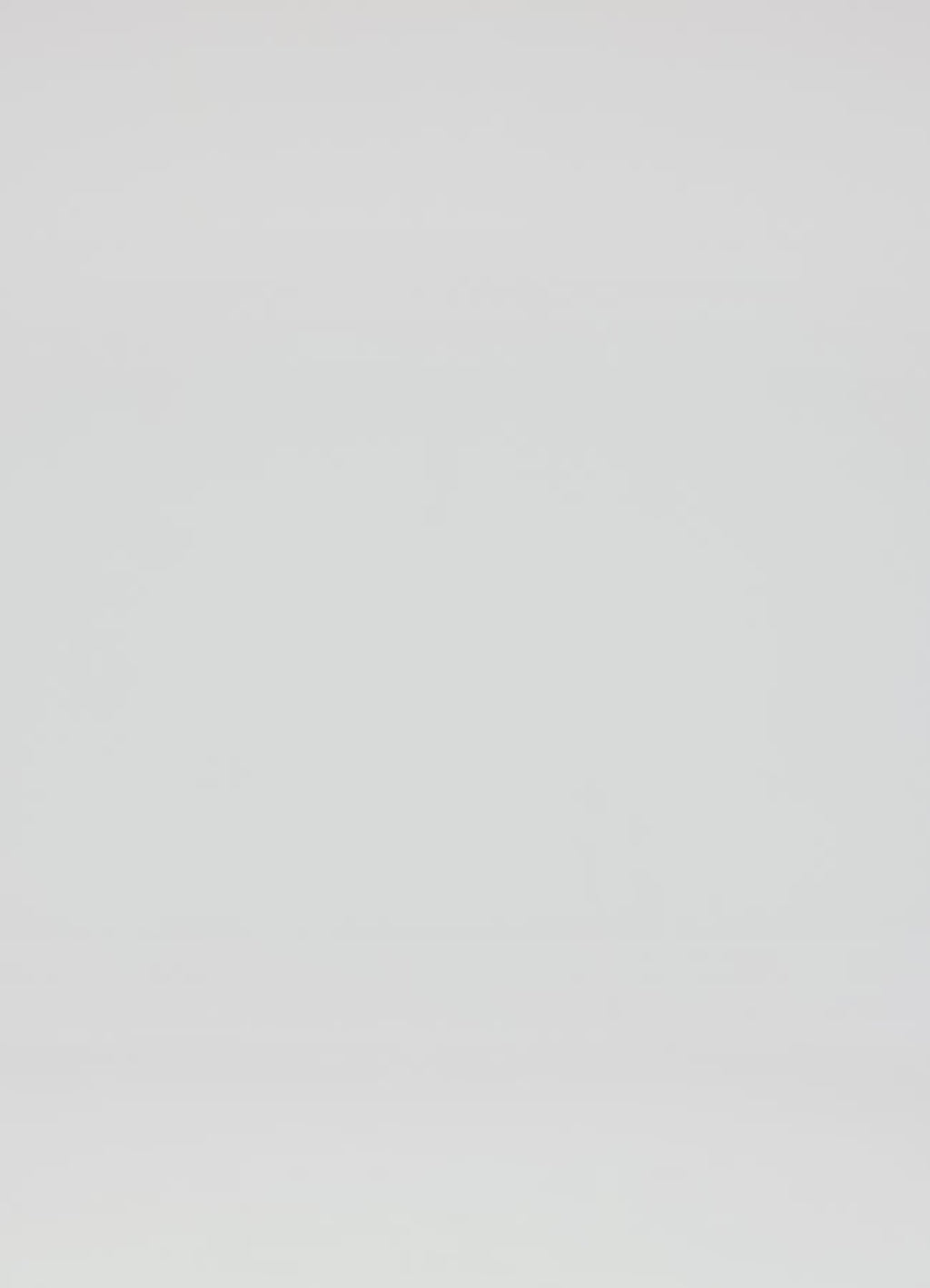 Leo Lin Rianne Floral Applique Rosa Maxi Dress