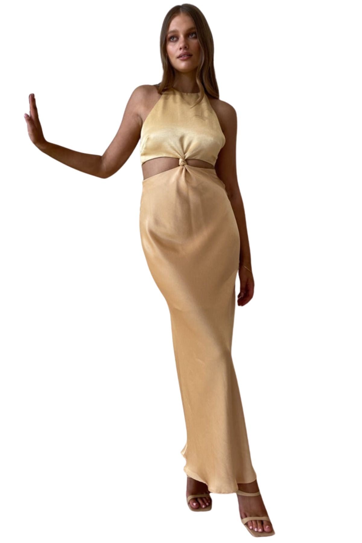 Bec + Bridge BEC + BRIDGE Carrie Halter Maxi Dress (Yellow Gold) - RRP $350 - USETHISFORWEBSITEPRODUCT_5_de6c0535-50a6-48cb-9dfe-c52edeb29c29.jpg