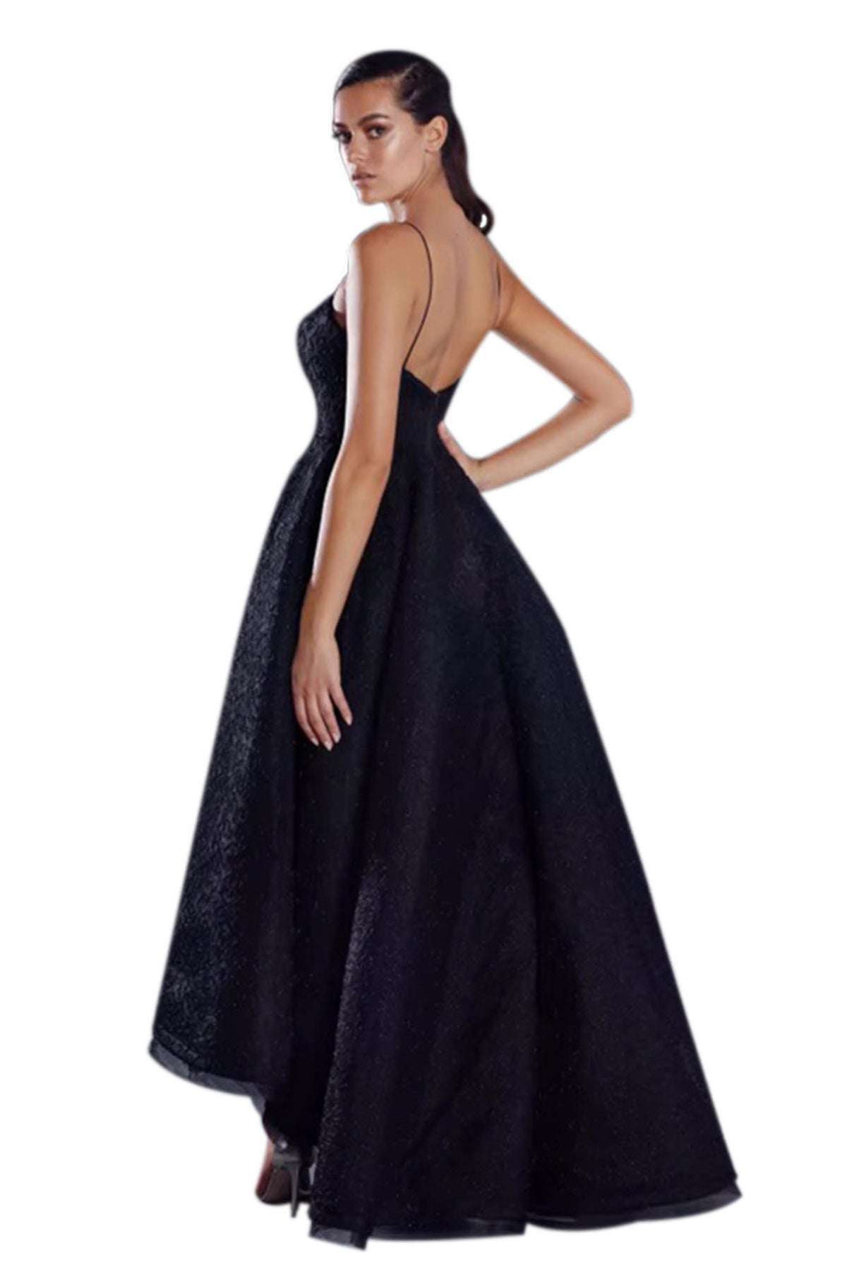Jadore JADORE Audrey Gown JX045 (Black) - RRP $850 - jadore-audrey-gown-jx045-black---rrp-0-dress-for-a-night-30754517.jpg